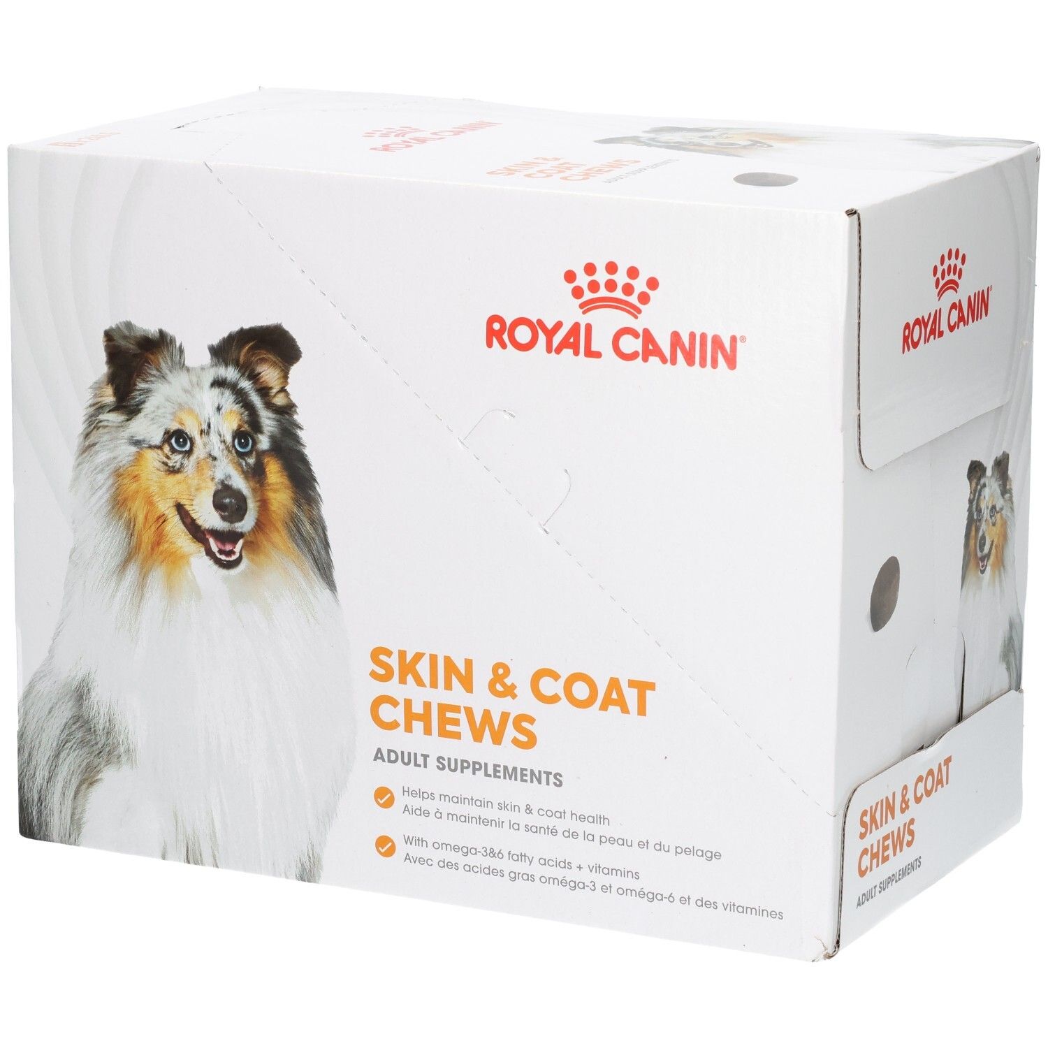 Royal Canin Skin & Coat Chews : Carton avec image de chien et informations produit.