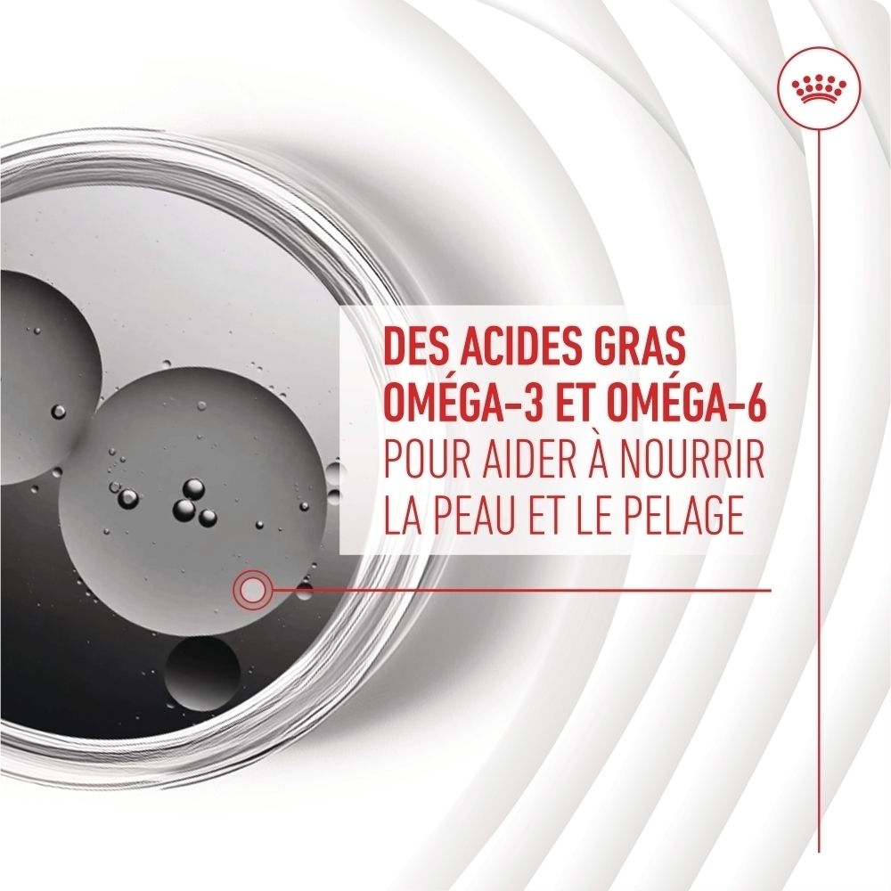 Royal Canin Skin & Coat Chews, ingrédients scientifiques pour la peau et le pelage.