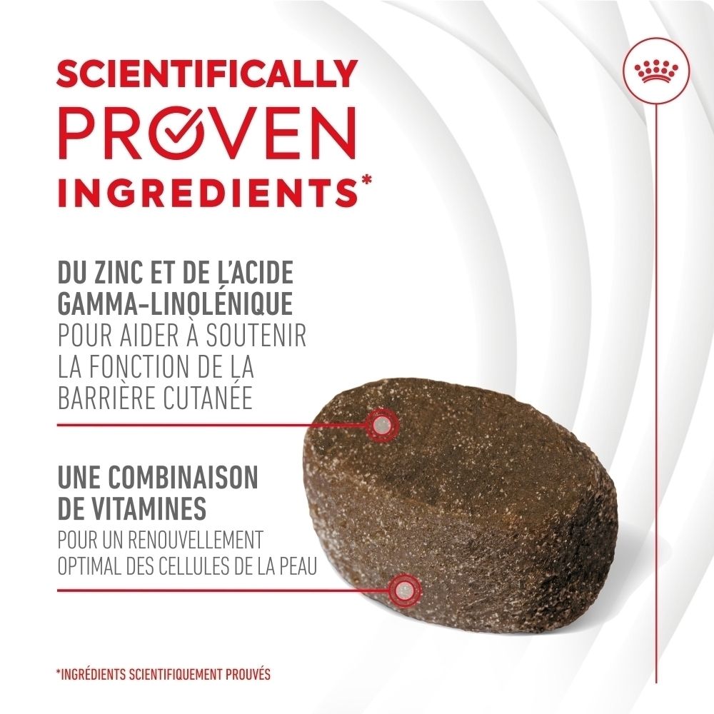 Royal Canin Skin & Coat Chews, acides gras Oméga-3 et Oméga-6 pour peau et pelage.