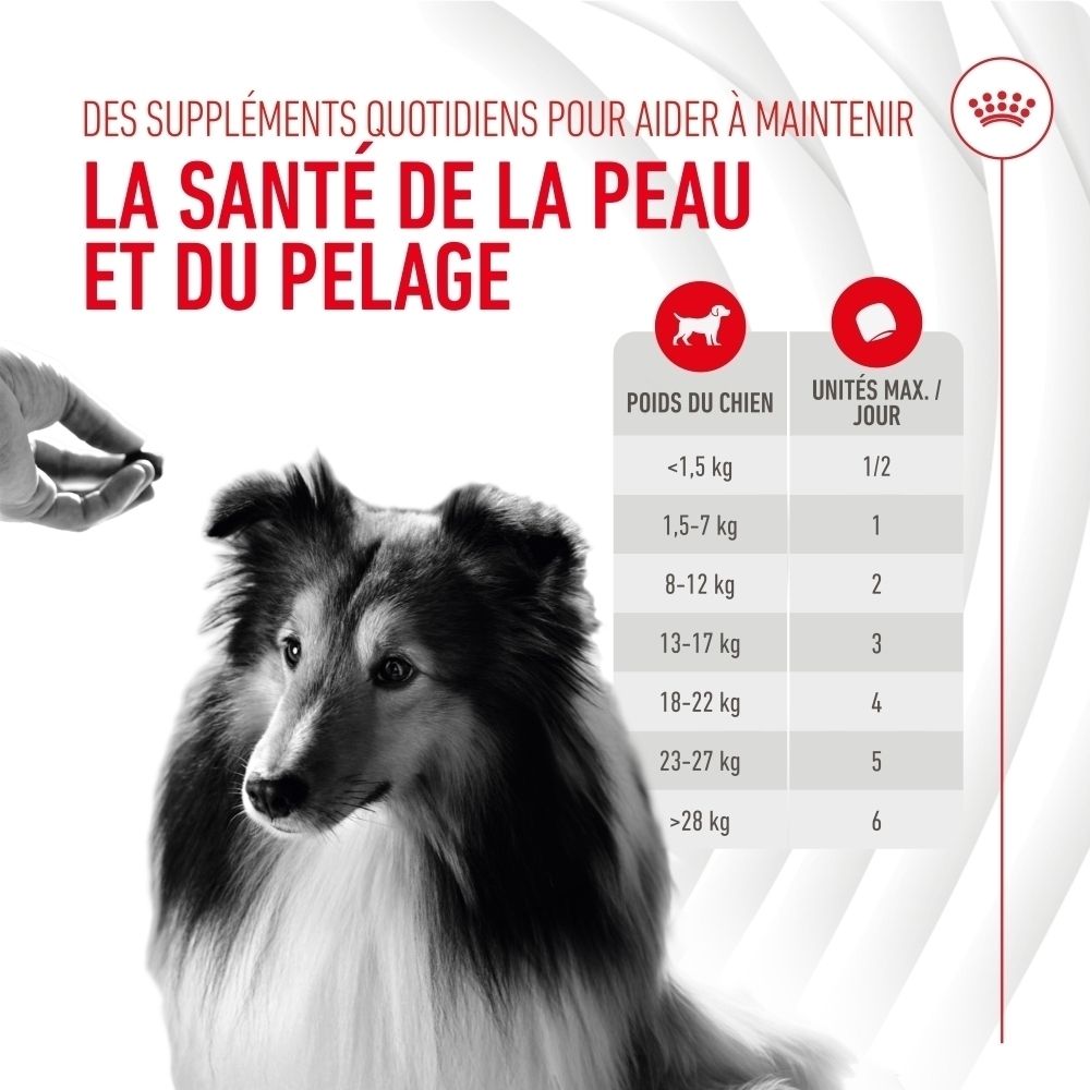 Royal Canin Skin & Coat Chews, zinc, vitamine et acide gamma-linolénique pour la peau.