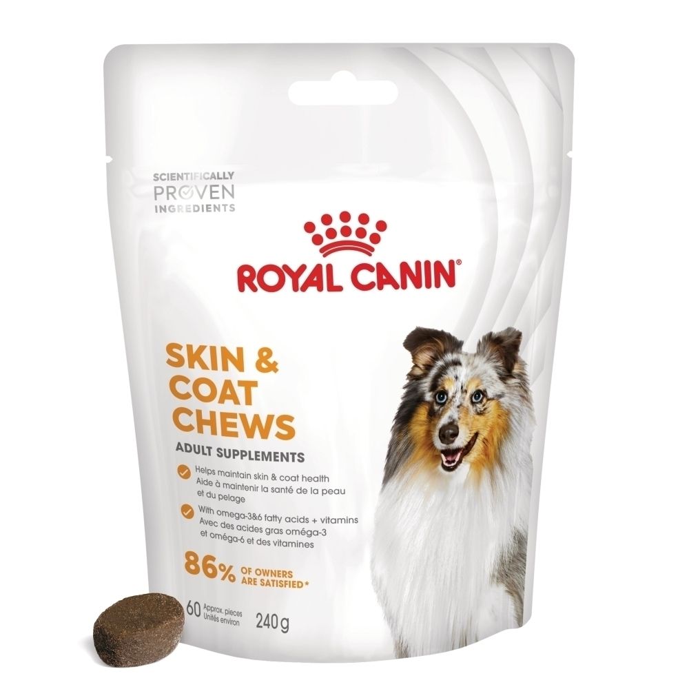 Royal Canin Skin & Coat Chews, complément à la routine alimentaire de votre chien.