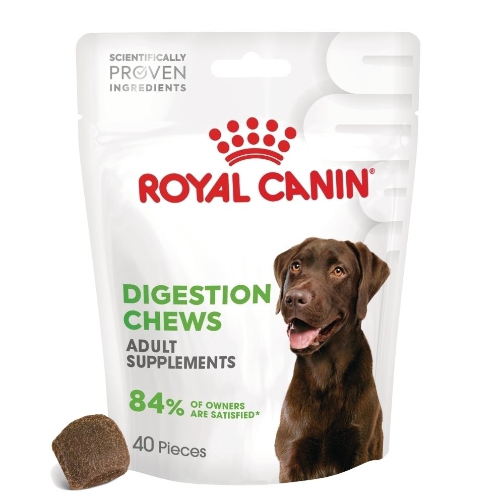Friandises digestives Royal Canin, sachet avec image de chien et une friandise.