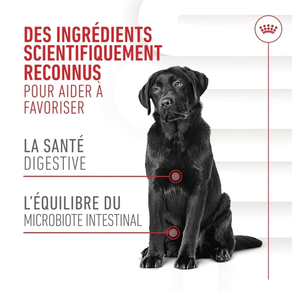 Friandises digestives Royal Canin, sachet avec image de chien et texte sur ingrédients scientifiquement prouvés.