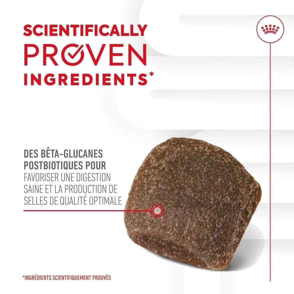 Friandises digestives Royal Canin, sachet avec image de chien et texte sur les prébiotiques.