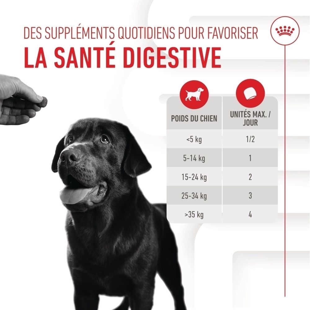 Friandises digestives Royal Canin, sachet avec image de chien et texte sur les bêta-glucanes.