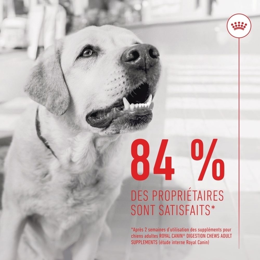Friandises digestives Royal Canin, sachet avec image de chien et guide d'alimentation.