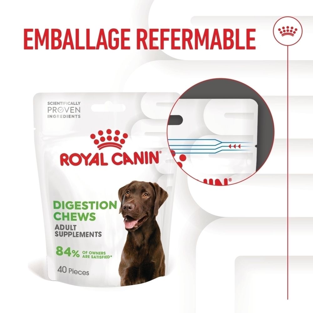 Friandises digestives Royal Canin, sachet avec image de chien et texte sur la routine alimentaire.