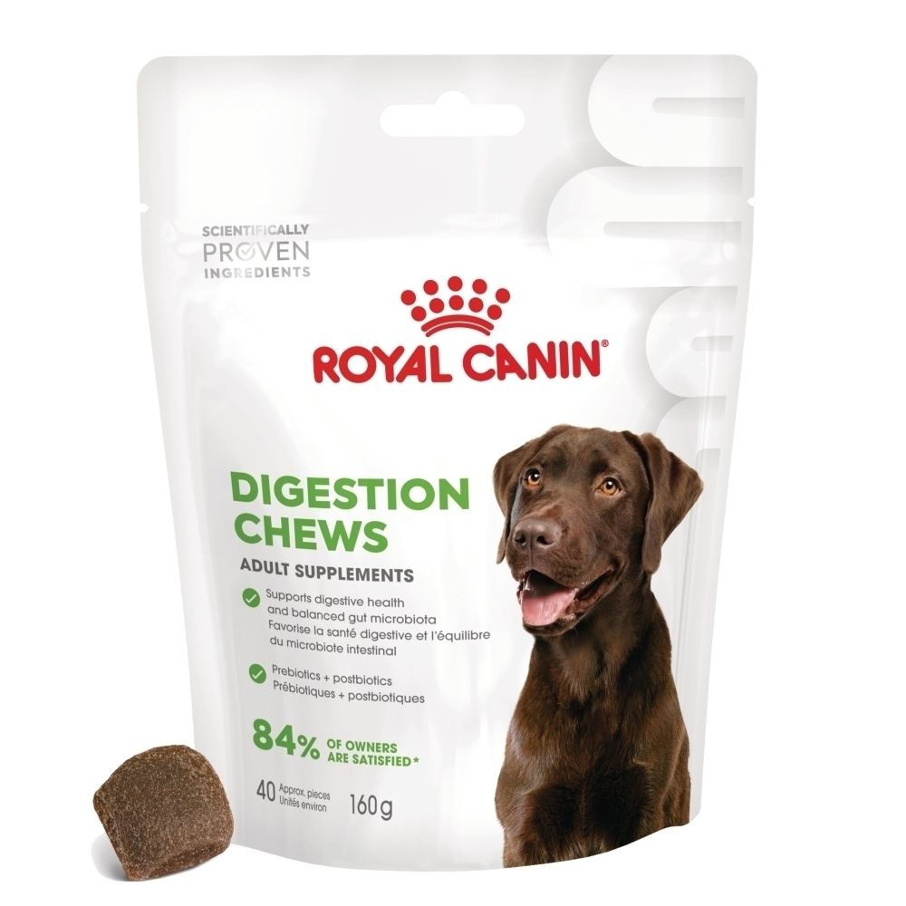 Friandises digestives Royal Canin, sachet avec image de chien et texte sur emballage refermable.