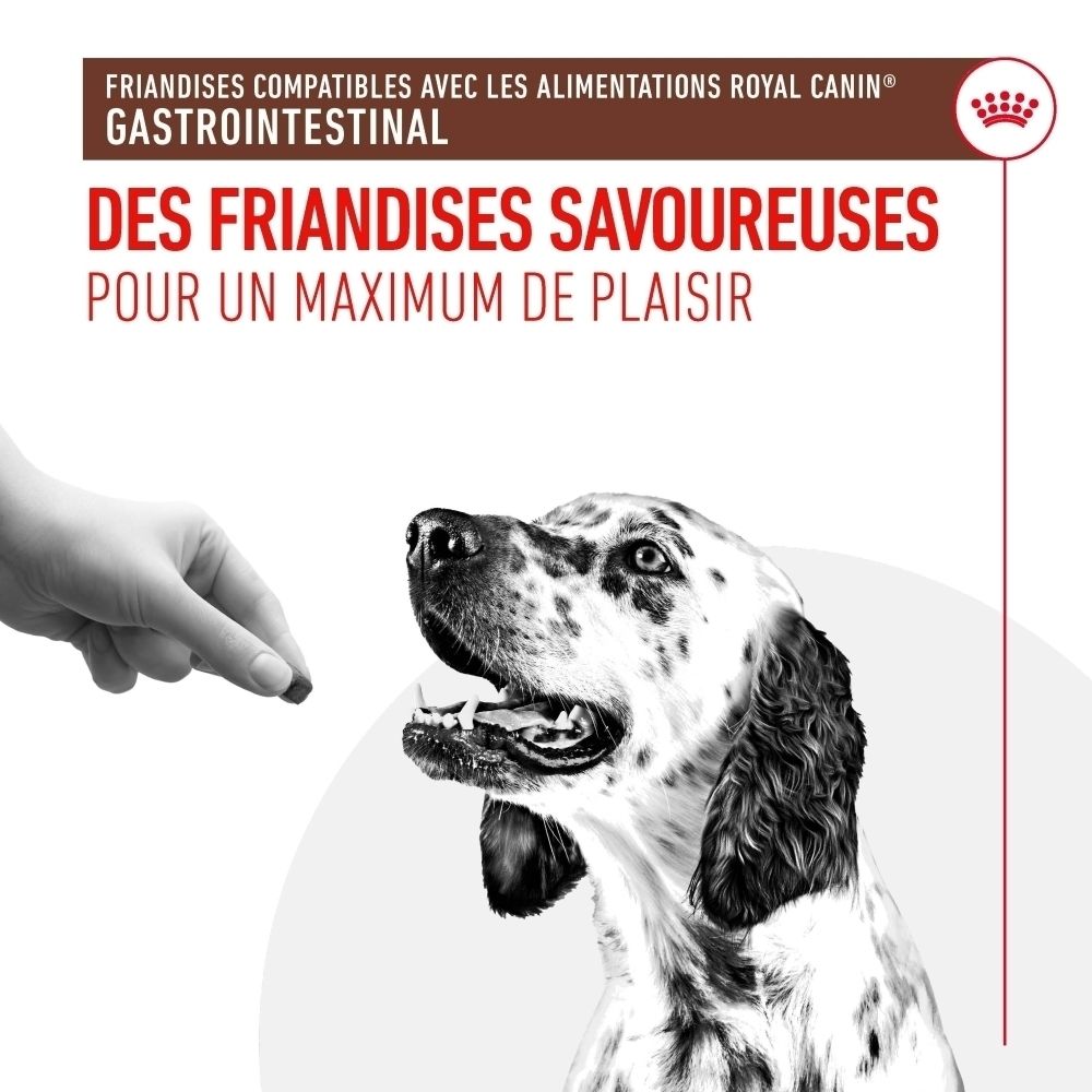 Un chien reçoit une friandise d'une main. Texte : "Des friandises savoureuses pour un maximum de plaisir".