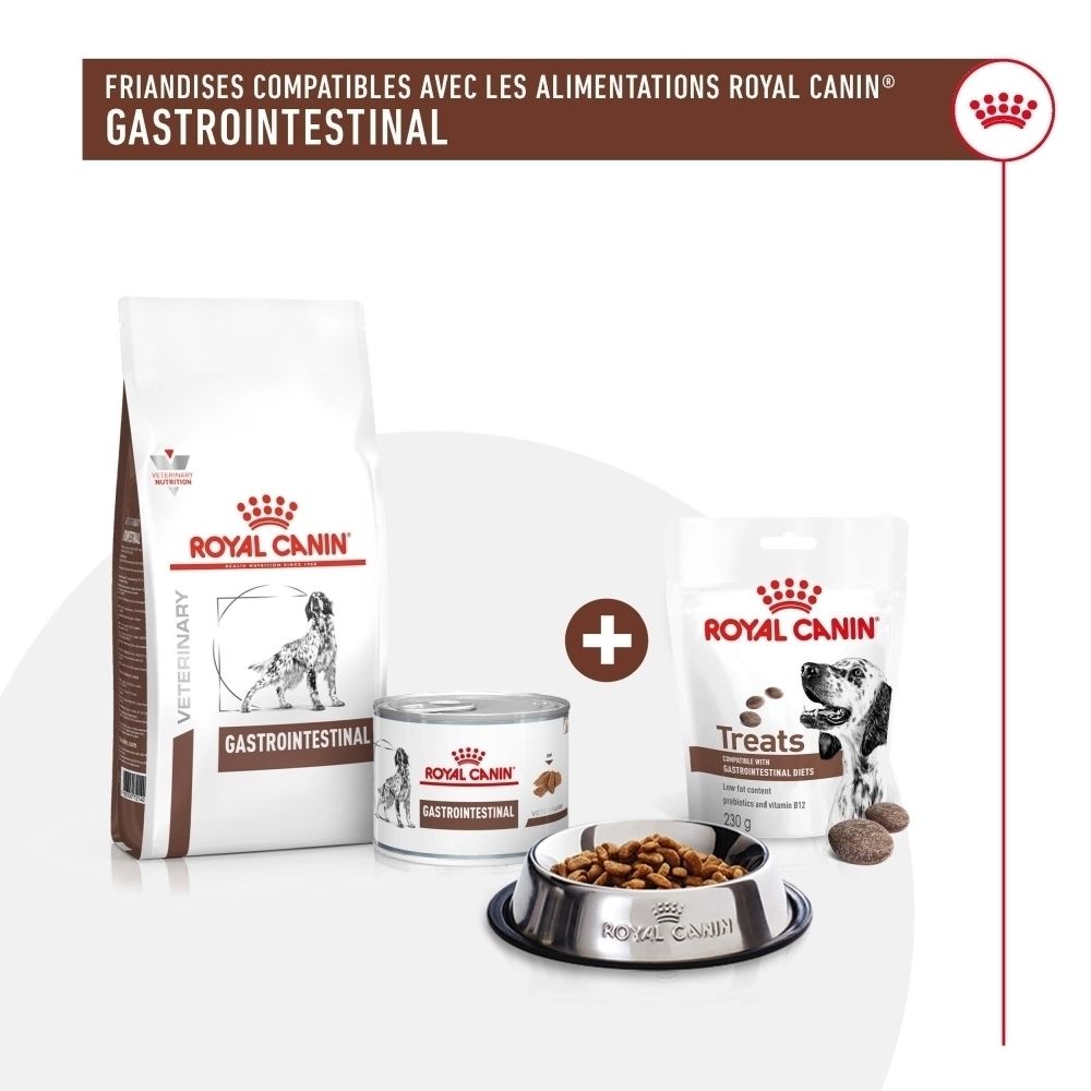 Aliments Royal Canin Gastrointestinal pour chiens : sac de croquettes, boîte, sachet de friandises et gamelle.