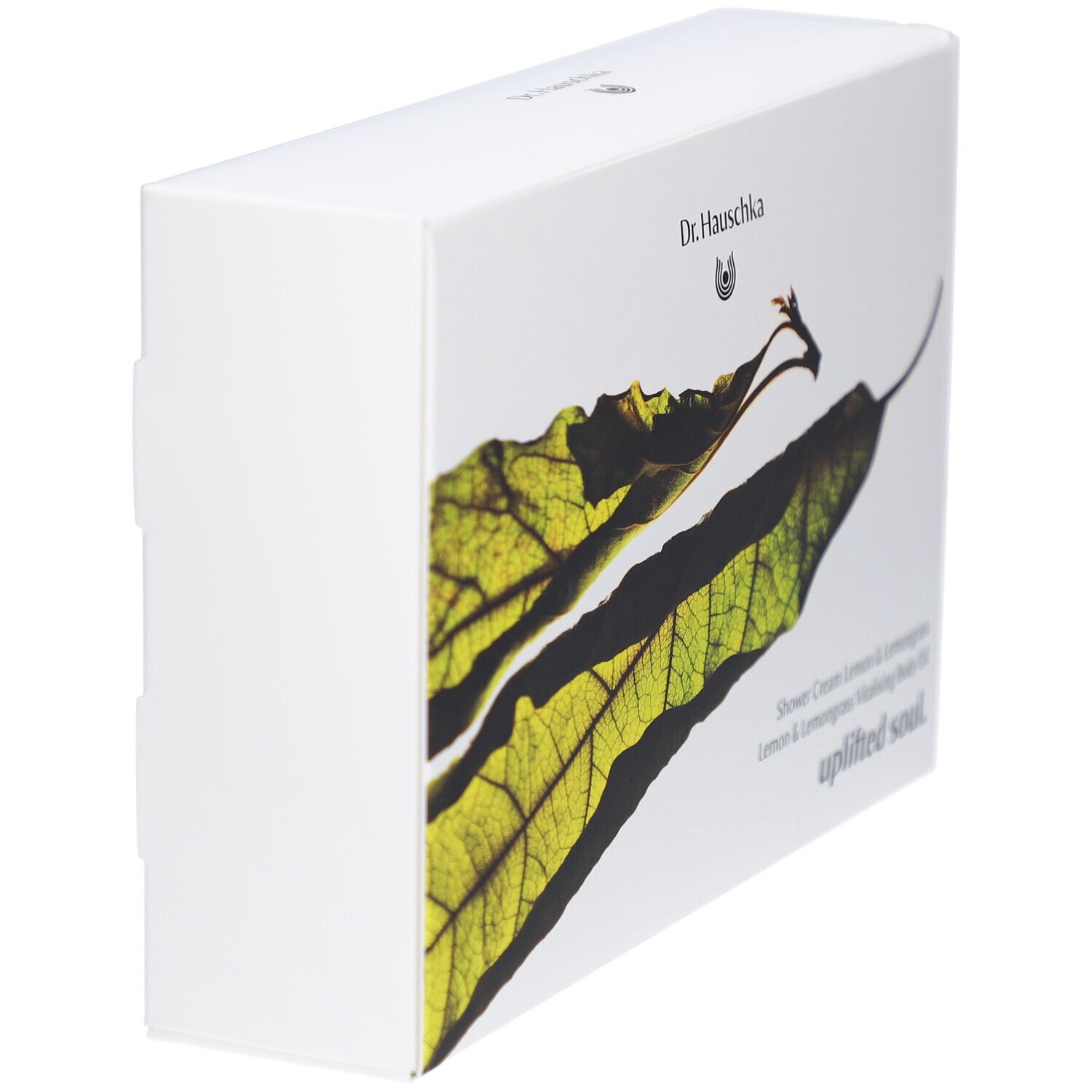 Boîte blanche avec motif de feuille et texte. Logo Dr. Hauschka. Vue latérale.