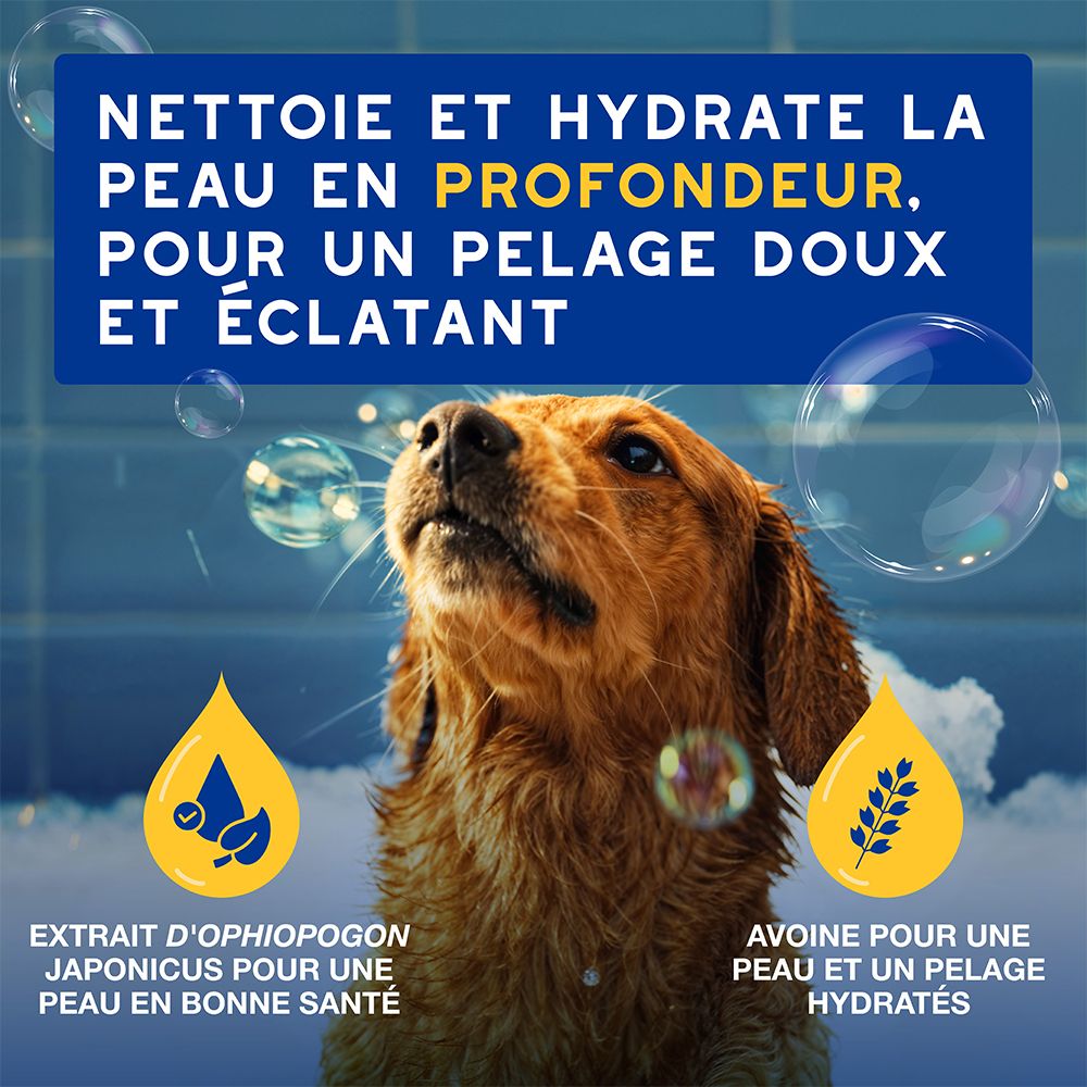 Chien dans l'eau avec des bulles de savon. Texte: Nettoie et hydrate la peau en profondeur.