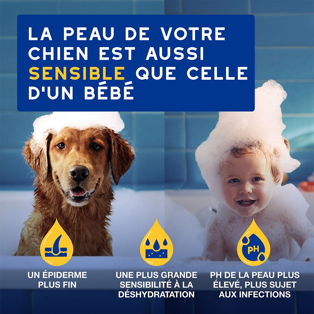 Comparaison: chien et bébé dans le bain. Texte: La peau de votre chien est aussi sensible que celle d'un bébé.