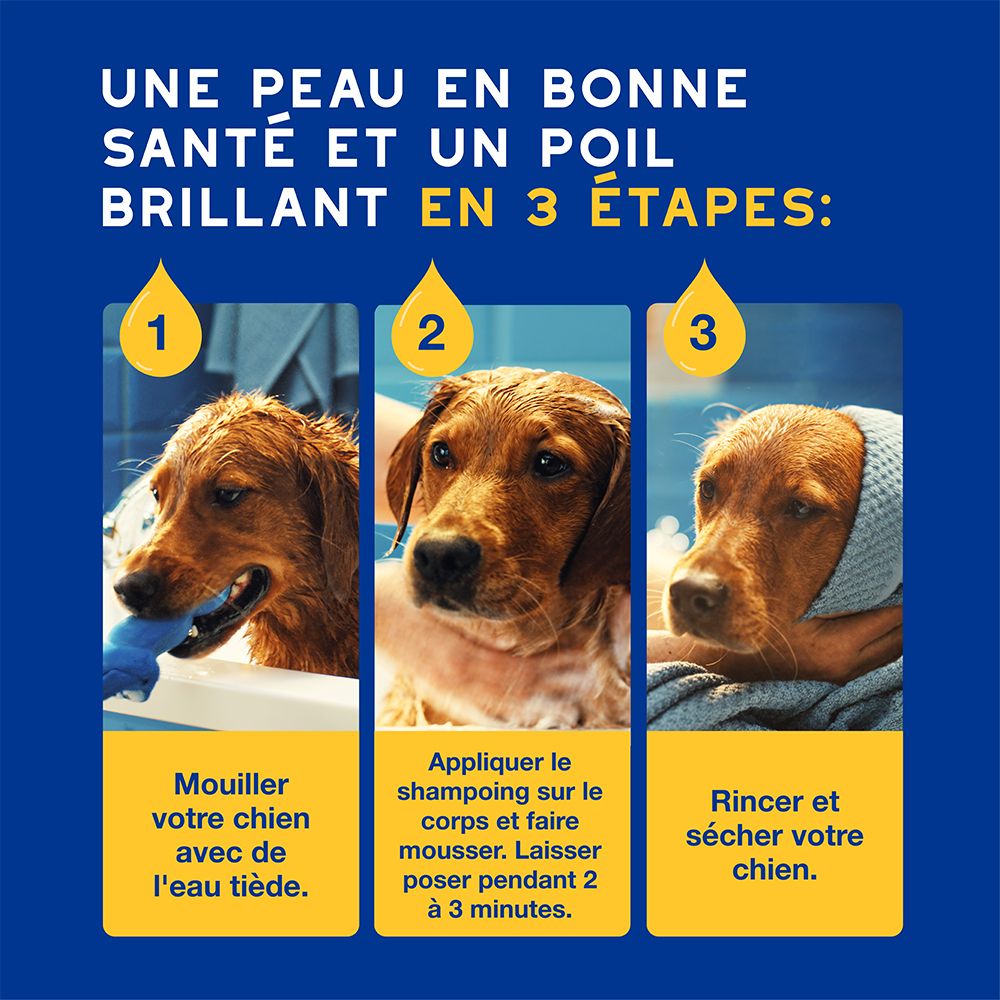 Trois chiens en différentes phases de toilettage. Texte: Une peau saine et un poil brillant en 3 étapes.