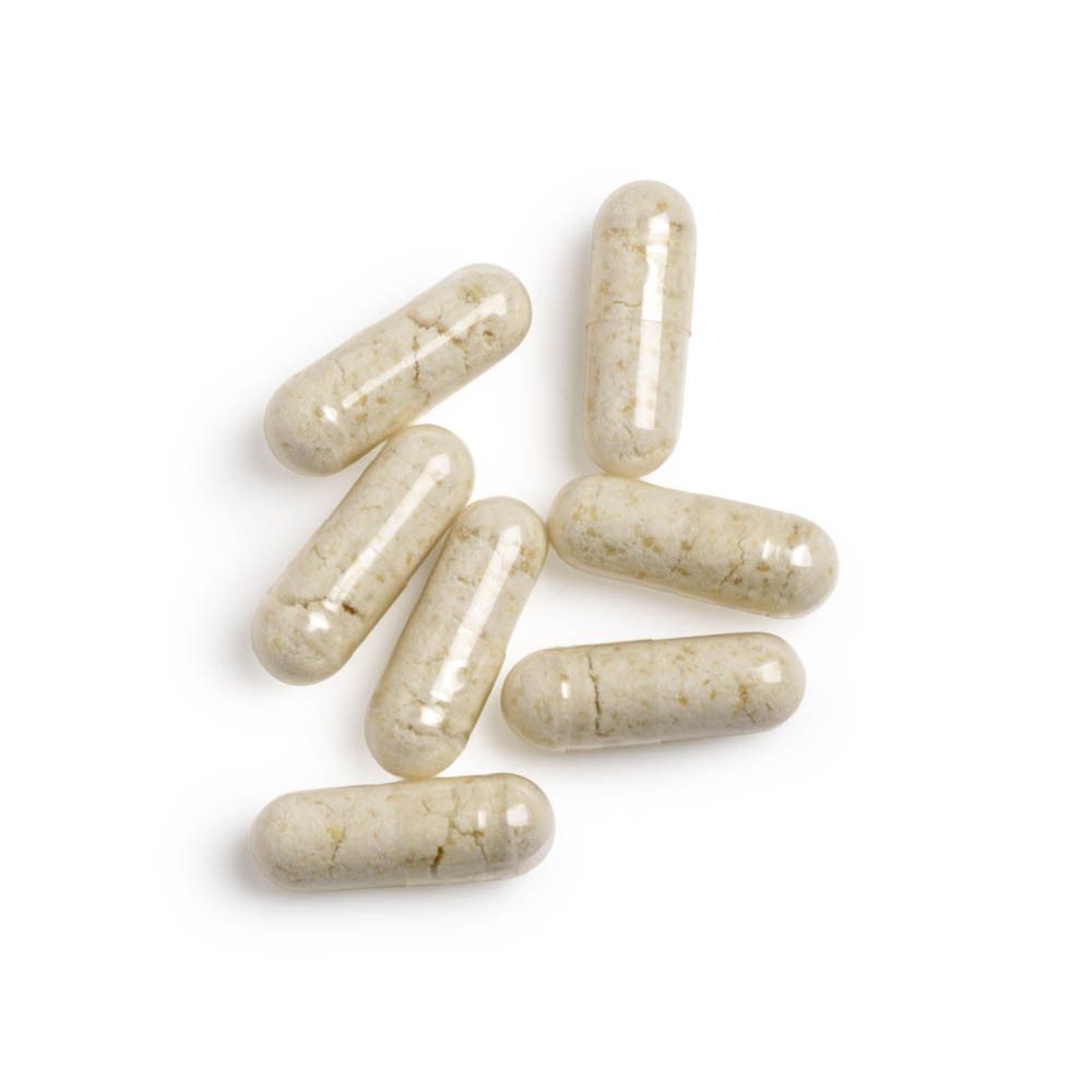 Plusieurs capsules sur fond blanc. Les capsules sont oblongues et brun clair.