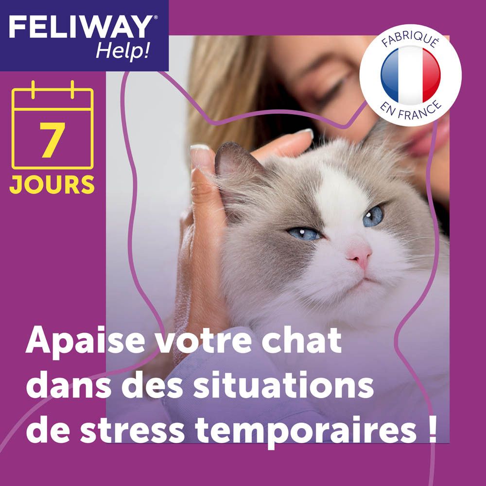 Chat caressé. Texte : Apaisez votre chat dans les situations de stress.