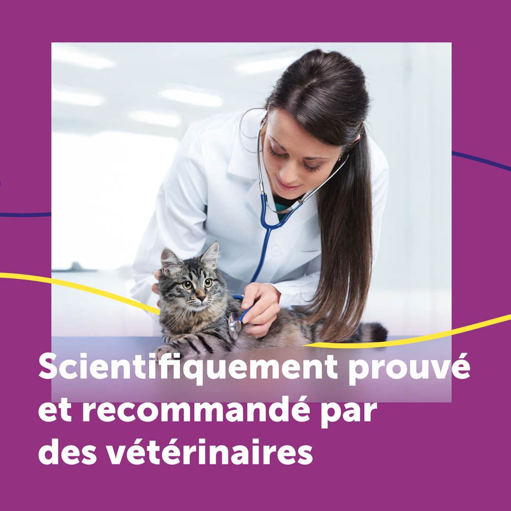 Feliway Help! Pack de 3 cartouches. 3 x 7 jours. Aide en cas de stress. Cliniquement prouvé.