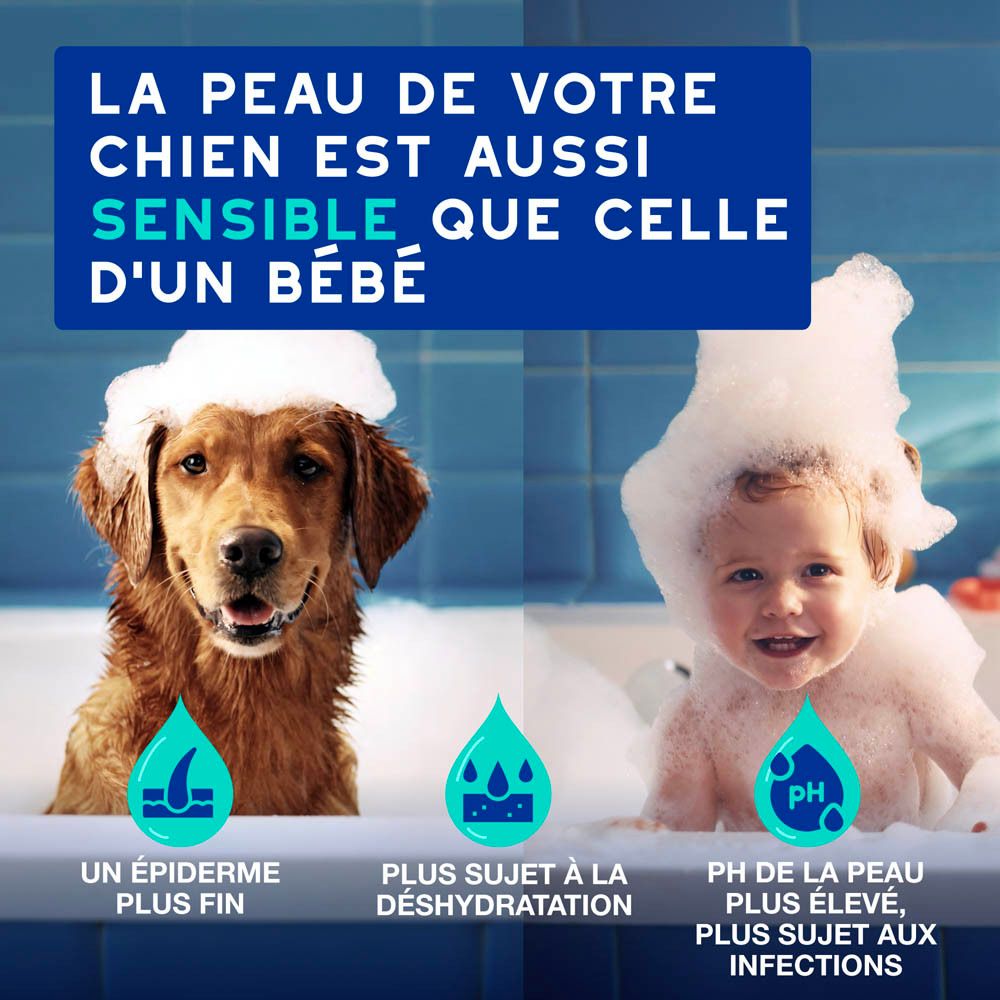 Vue latérale de la bouteille de spray Douxo SPA avec tête de pulvérisation.