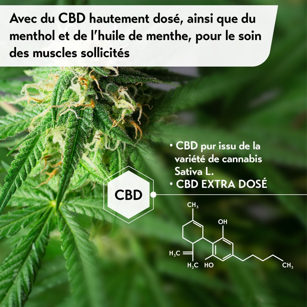 Gros plan sur des fleurs de cannabis. Texte: CBD, ingrédients, formule chimique.