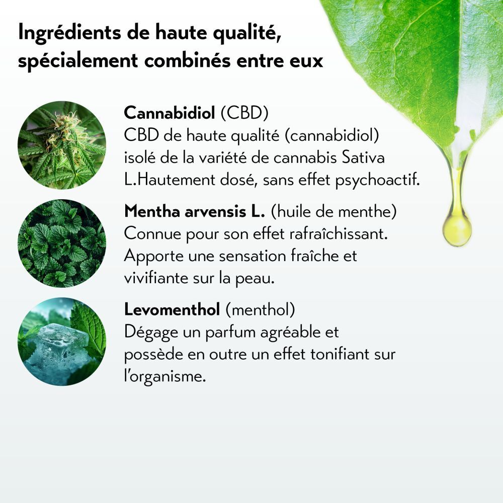 Texte avec ingrédients. CBD, menthol, lévomenthol. Goutte.
