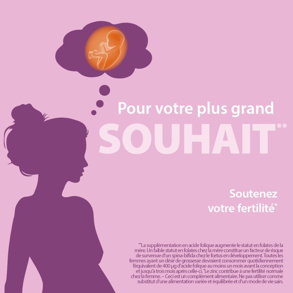 Silhouette d'une femme enceinte avec un fœtus dans un rêve. Texte : 'Pour votre plus grand souhait. Soutenez votre fertilité.'