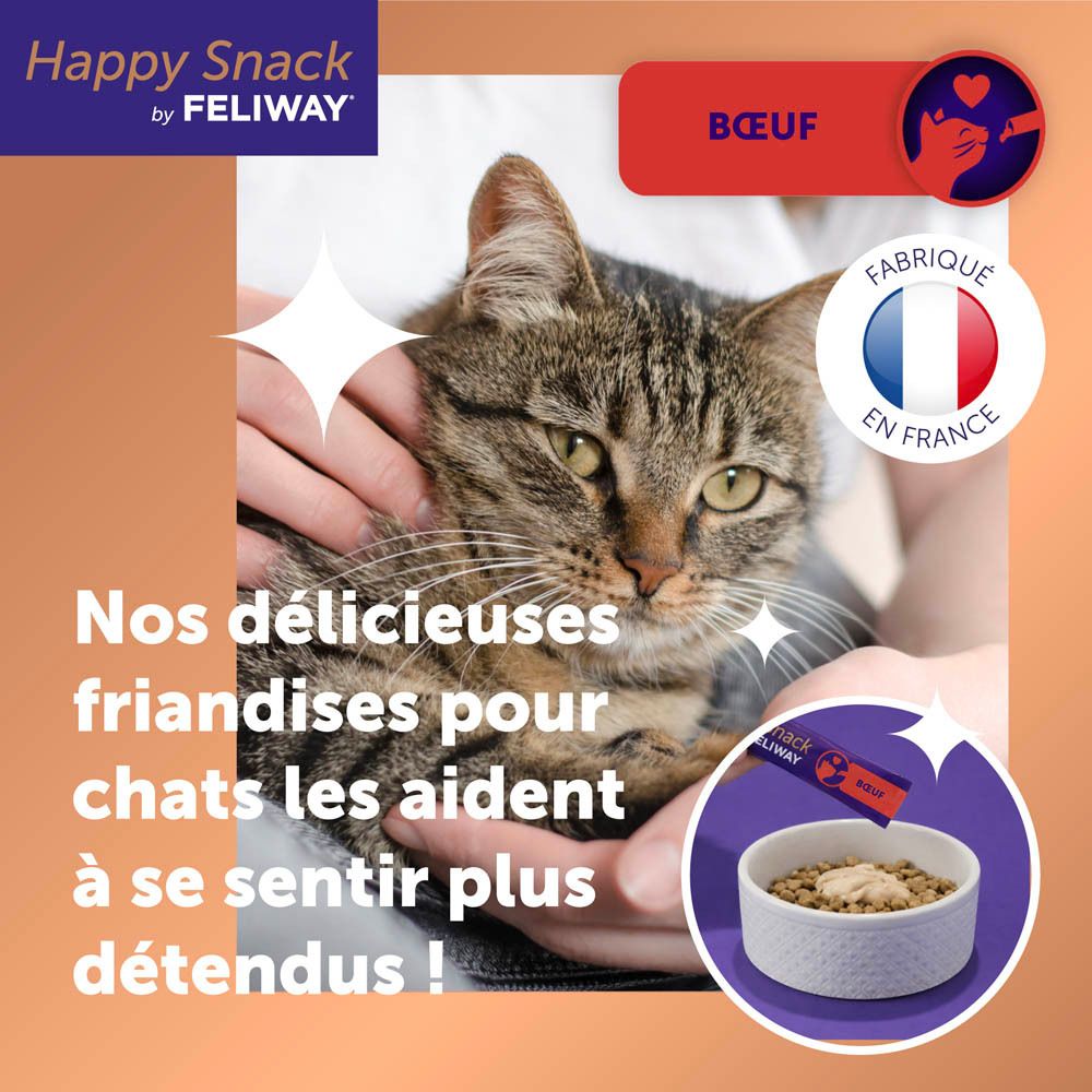 Chat avec friandise au bœuf Feliway, fabriquée en France.