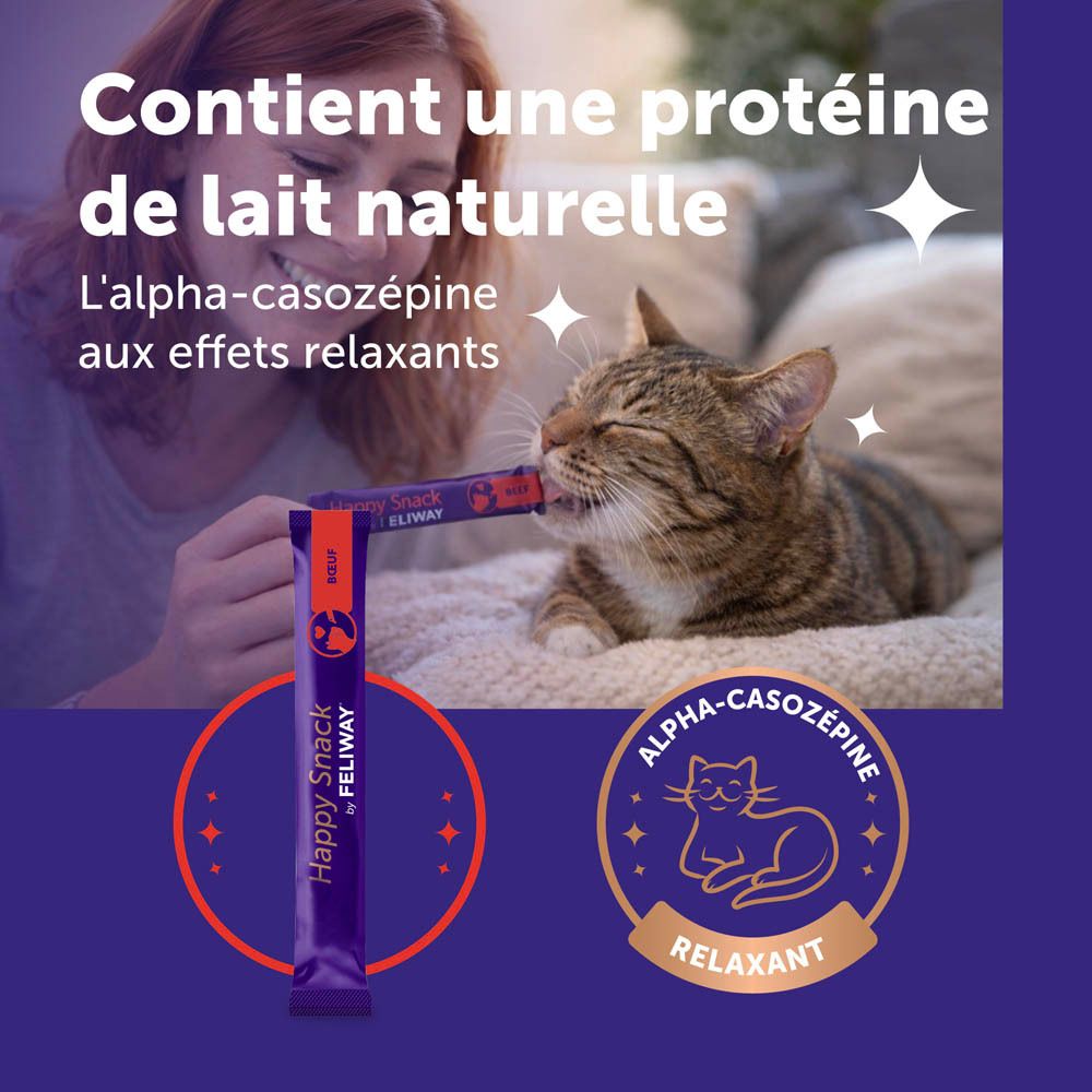 Chat mangeant une friandise d'un emballage violet tenu par une personne.