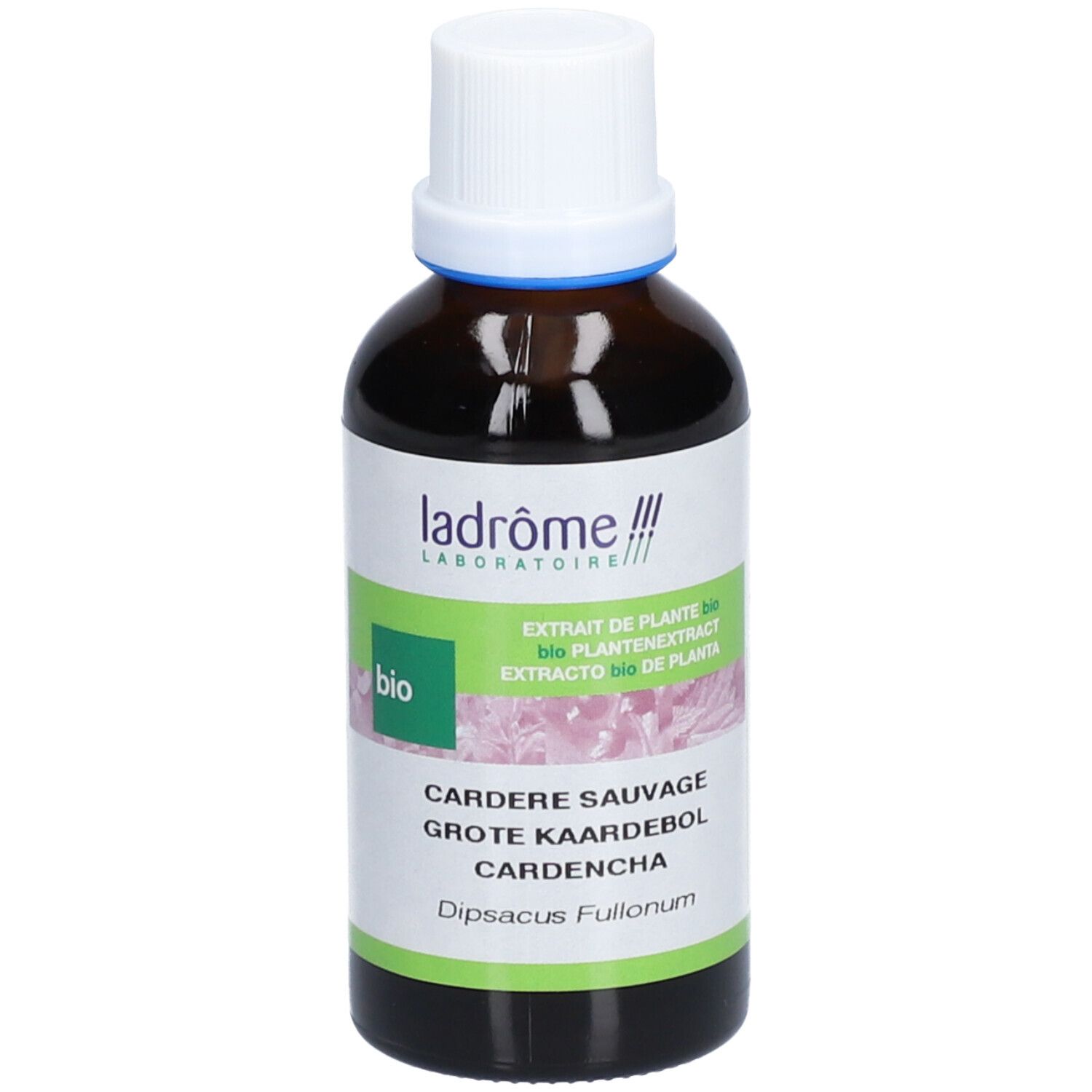 ladrôme Extrait de cardère sauvage