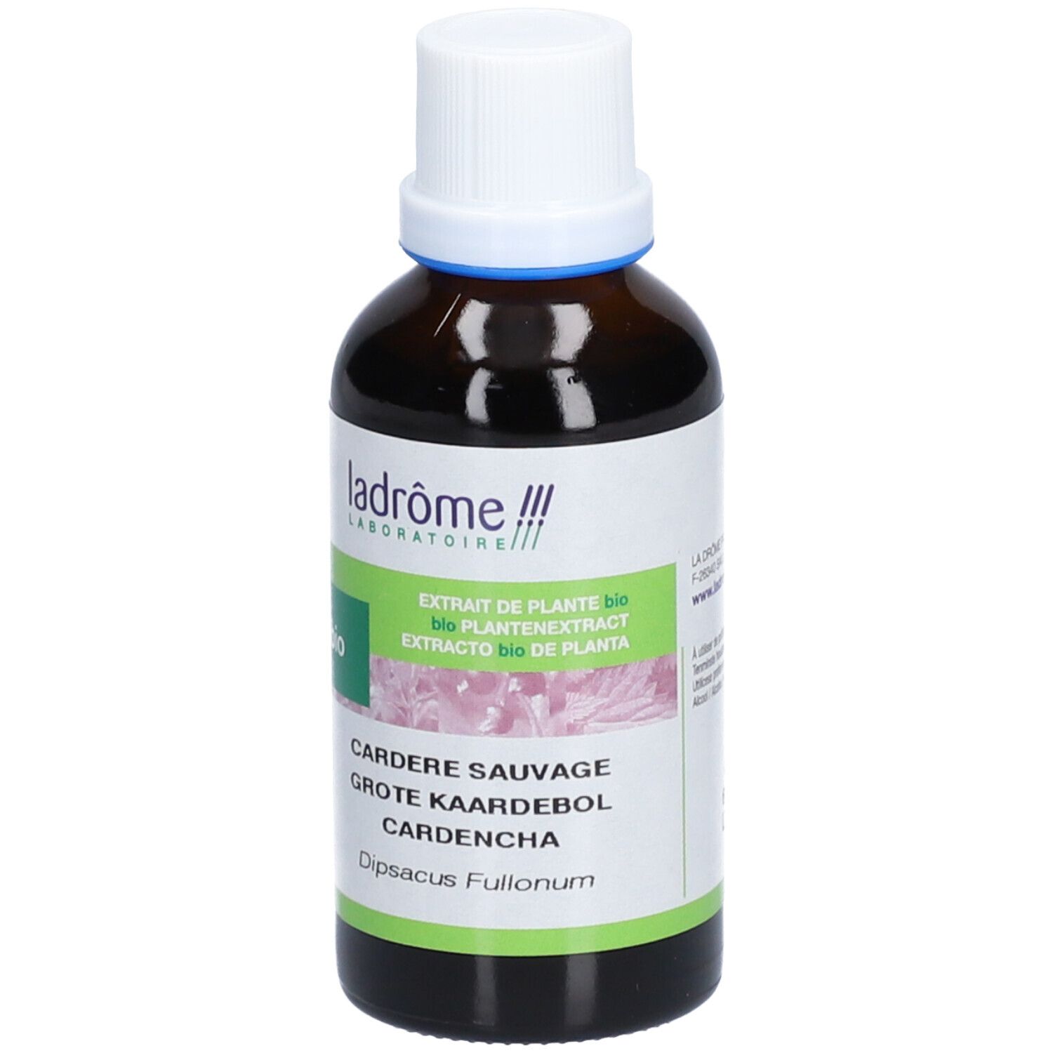 ladrôme Extrait de cardère sauvage