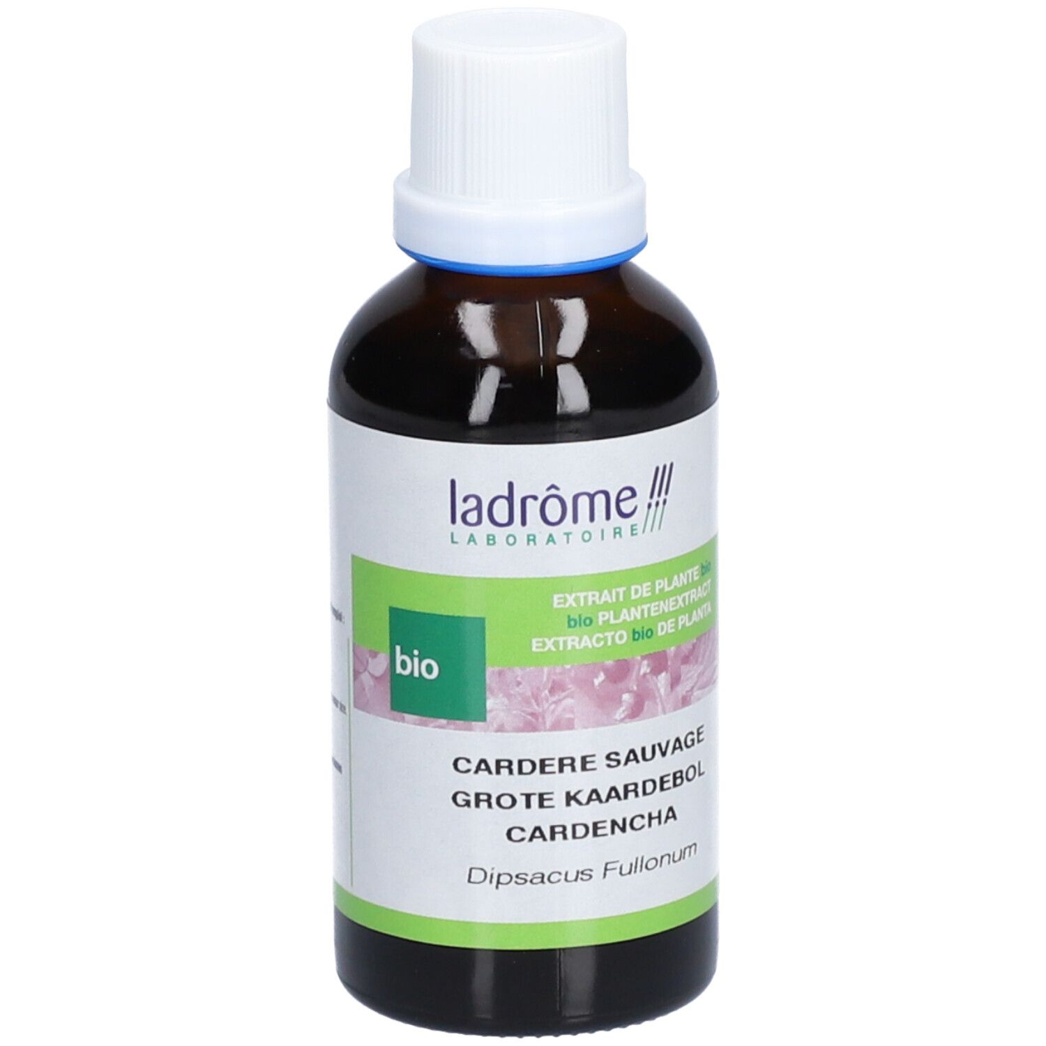 ladrôme Extrait de cardère sauvage