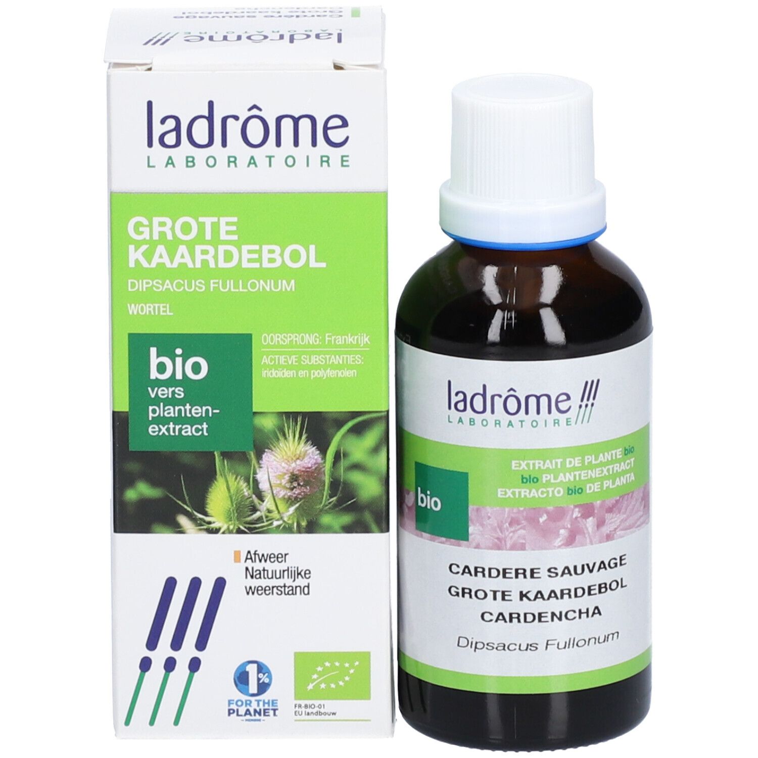 ladrôme Extrait de cardère sauvage