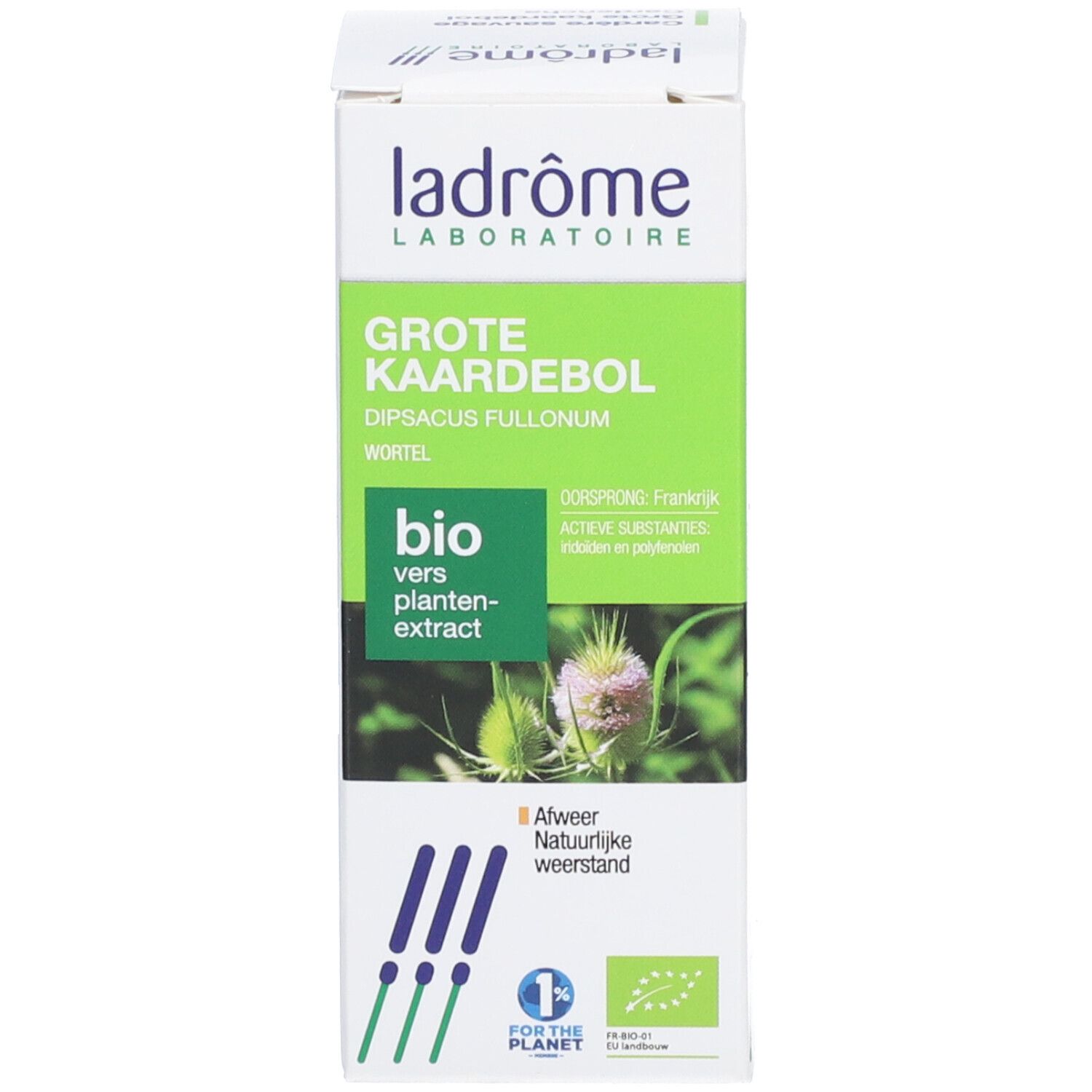 ladrôme Extrait de cardère sauvage