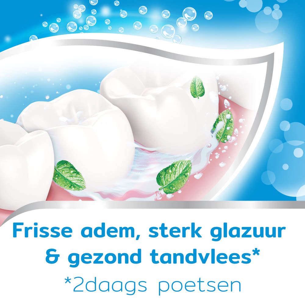 Tube de dentifrice. Inscriptions : freshmint, Aquafresh, 75ml.