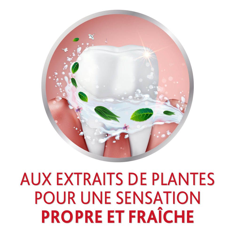 Dent avec eau et herbes. Cercle rouge avec texte : "AUX EXTRAITS DE PLANTES POUR UNE SENSATION PROPRE ET FRAÎCHE".
