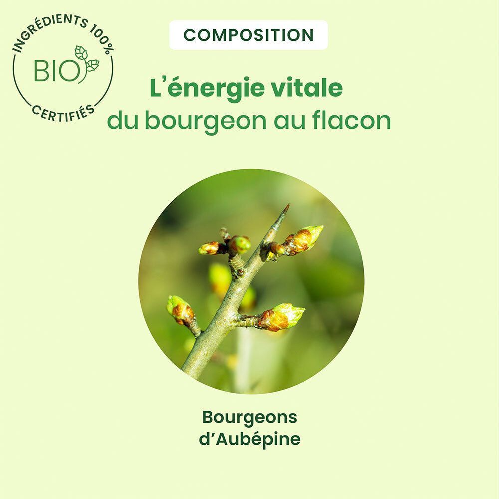 Gros plan sur des bourgeons sur une branche. Texte: Bourgeons d'Aubépine. Certification bio.