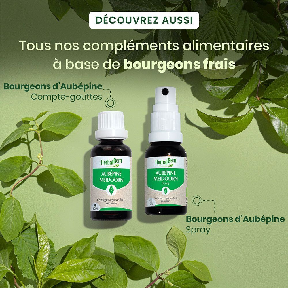 Deux flacons, un avec compte-gouttes, un avec spray. Inscription: HerbalGem, Aubépine, Meidoorn. Texte: Bourgeons d'Aubépine.