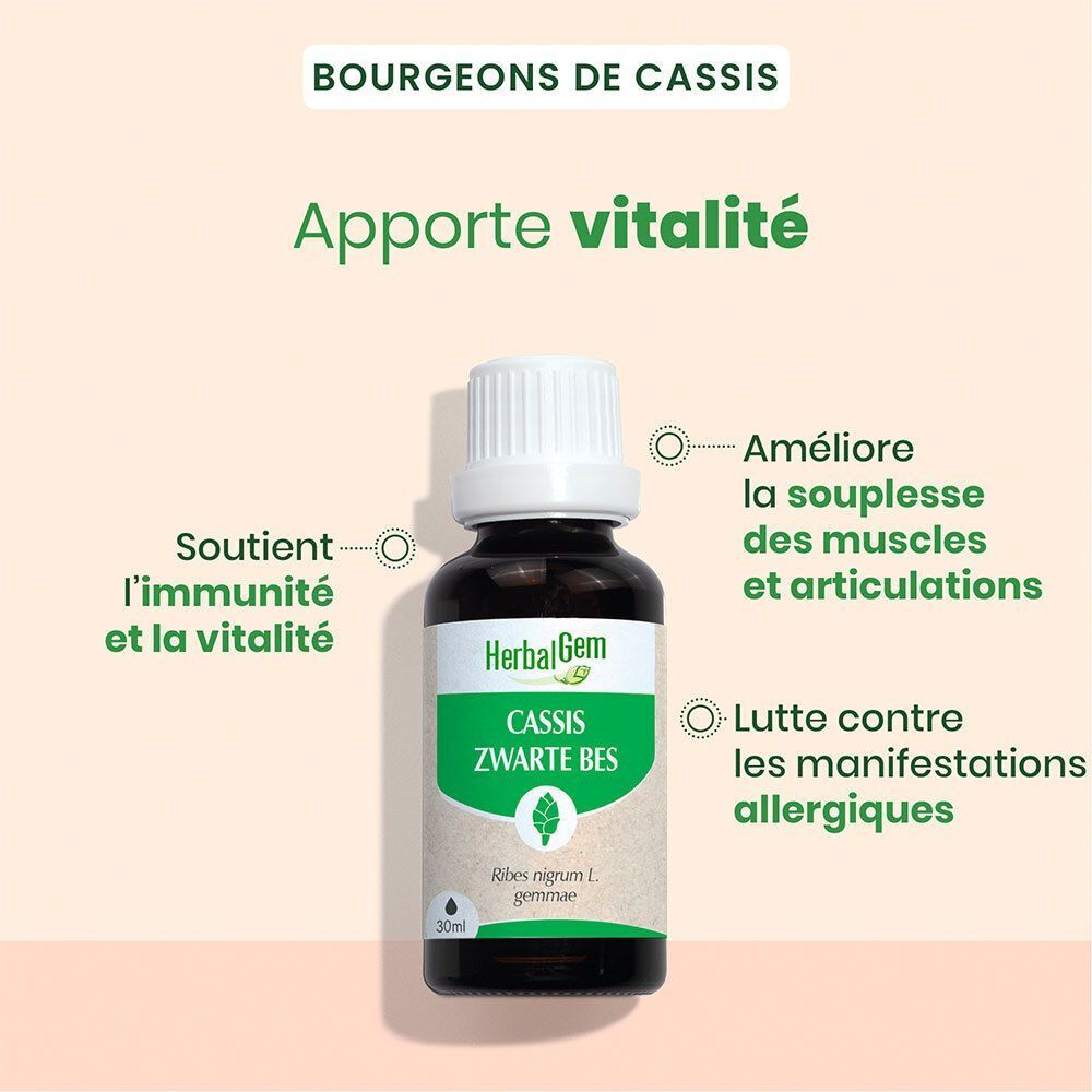 Un flacon HerbalGem Cassis Bio. Texte: Soutient l'immunité et la vitalité, améliore la souplesse, lutte contre les allergies.