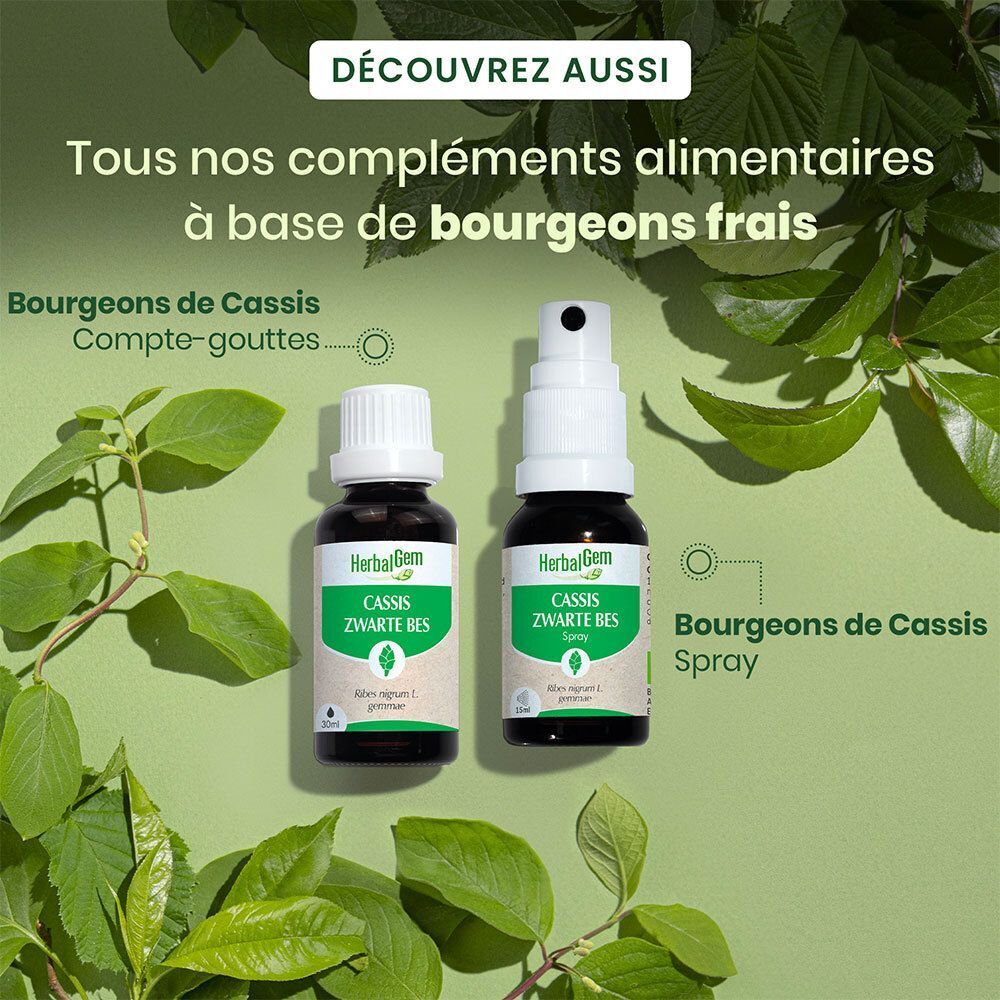 Deux flacons HerbalGem Cassis Bio et spray. Texte : Compléments alimentaires à base de bourgeons frais.