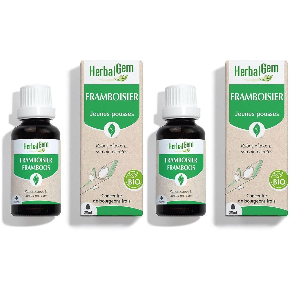 Trois flacons et emballages. HerbalGem Framboisier Bio. Flacons bruns, bouchons blancs. Emballage carton avec accents verts.