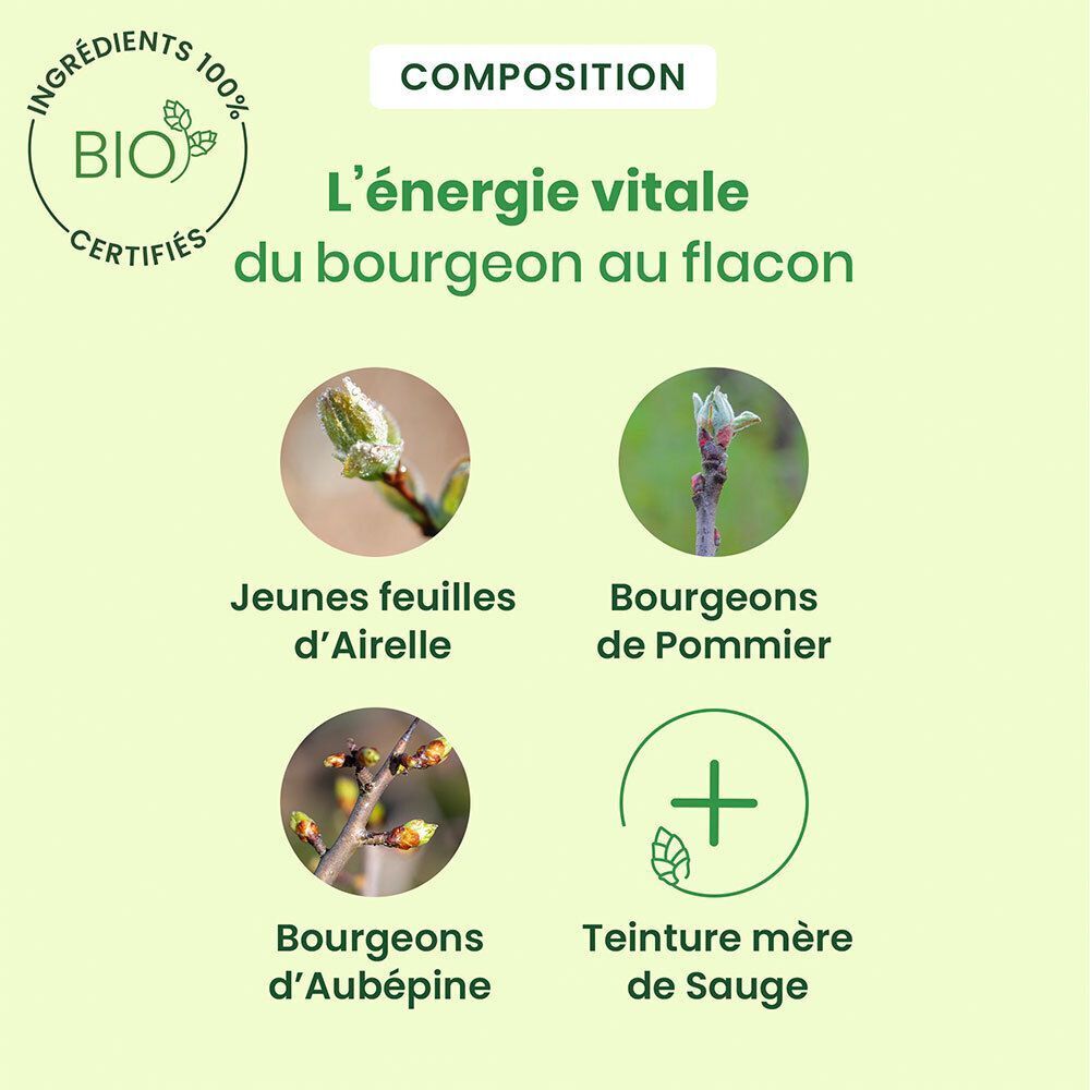 Graphique avec ingrédients: Jeunes feuilles d'Airelle, bourgeons de Pommier, Aubépine, teinture mère de Sauge. Certification Bio.