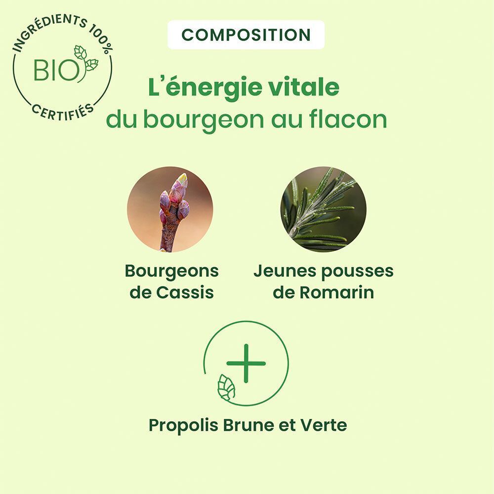 Composition: Bourgeons de Cassis, Jeunes pousses de Romarin, Propolis Brune et Verte. Ingrédients Bio.