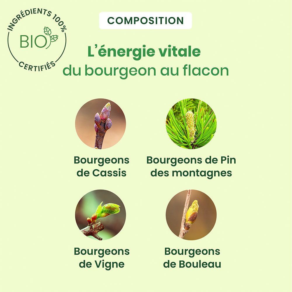 Flacon HerbalGem Artigem avec textes français sur la composition à base de bourgeons.