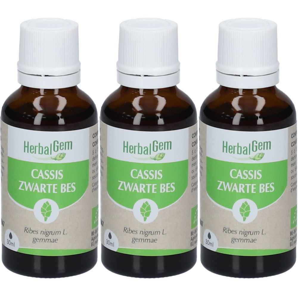 HerbalGem Cassis Bio TRIO