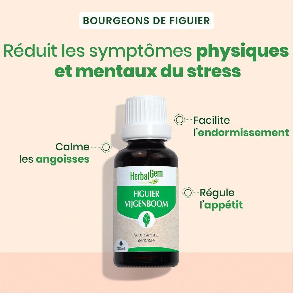 Flacon de HerbalGem Figuier Bio avec indications sur les propriétés calmantes et la régulation de l'appétit.