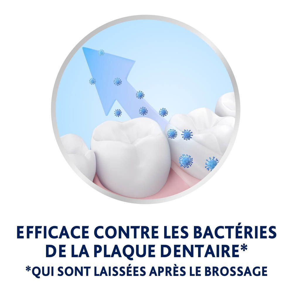 Modèle de dents avec bactéries. Flèche pointant vers les bactéries. Texte: Efficace contre les bactéries de la plaque dentaire.