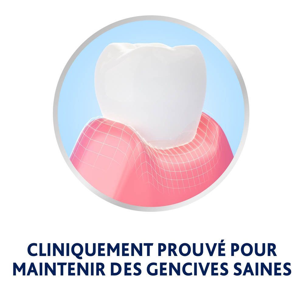 Modèle de dent avec gencive saine. Texte: Cliniquement prouvé pour maintenir des gencives saines.