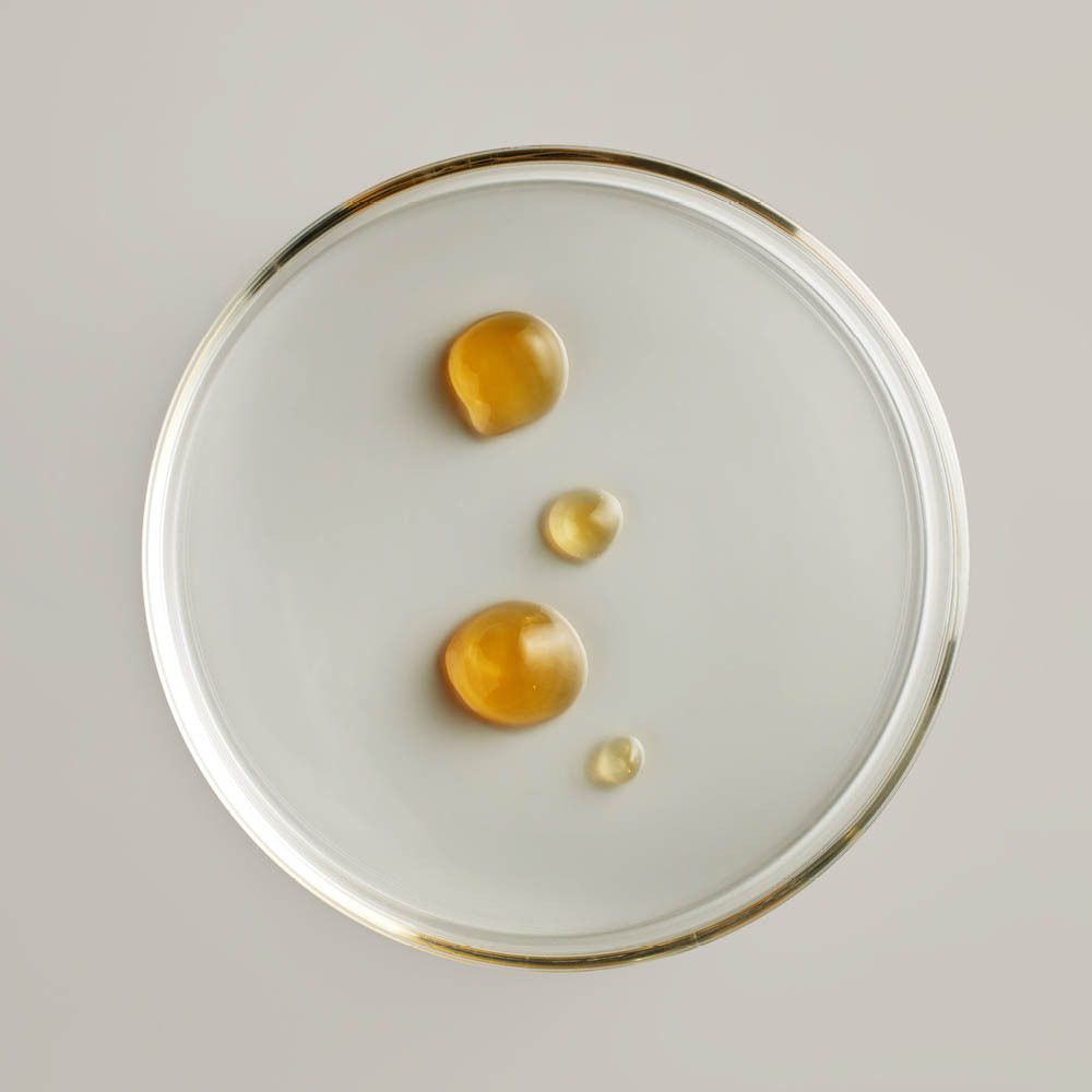 Boîte de Pétri transparente avec quatre gouttes jaunes. Liquide.