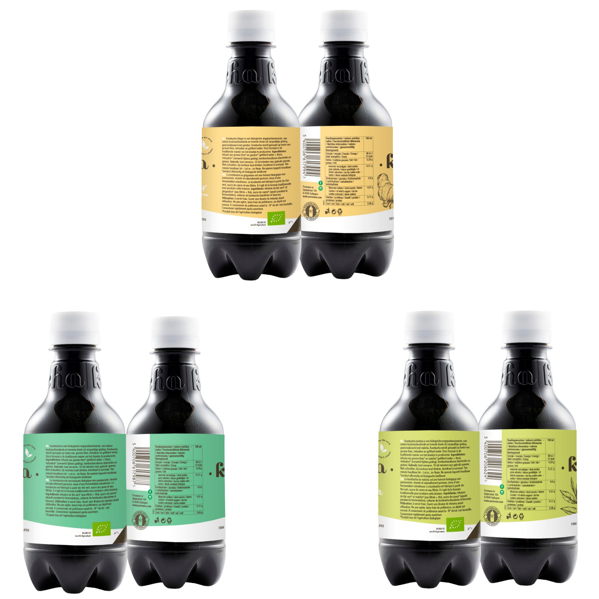 Vue arrière de six bouteilles de kombucha. Étiquettes avec informations nutritionnelles et ingrédients. Certification bio.