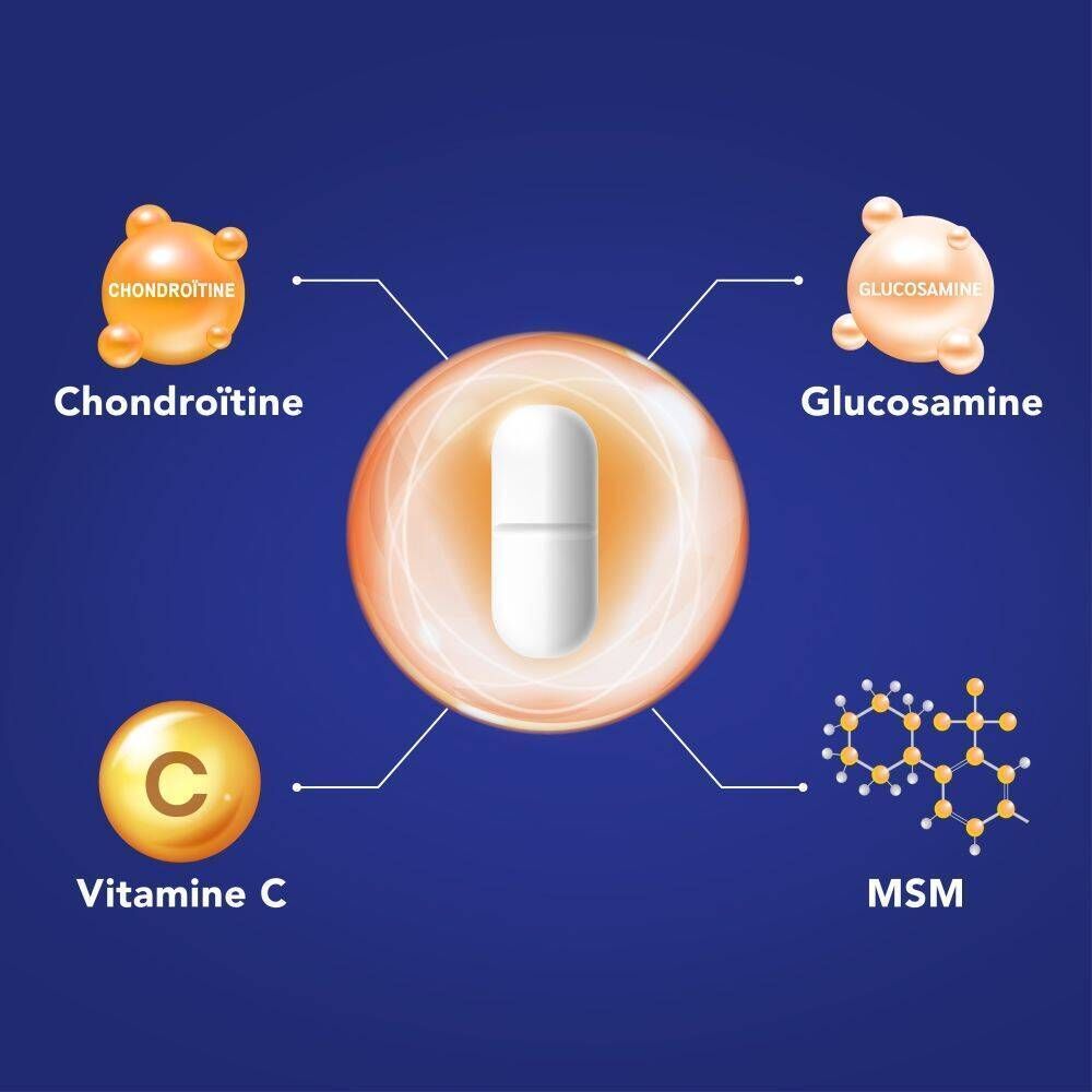 Représentation graphique des ingrédients d'Osteoplus MAX : chondroïtine, glucosamine, vitamine C et MSM.