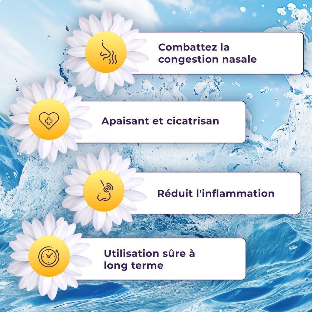 Quatre infographies avec des fleurs de camomille. Textes: Combattrez la congestion nasale, Apaisant et cicatrisant, etc.